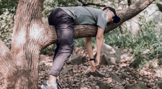 person lying on a tree trunk