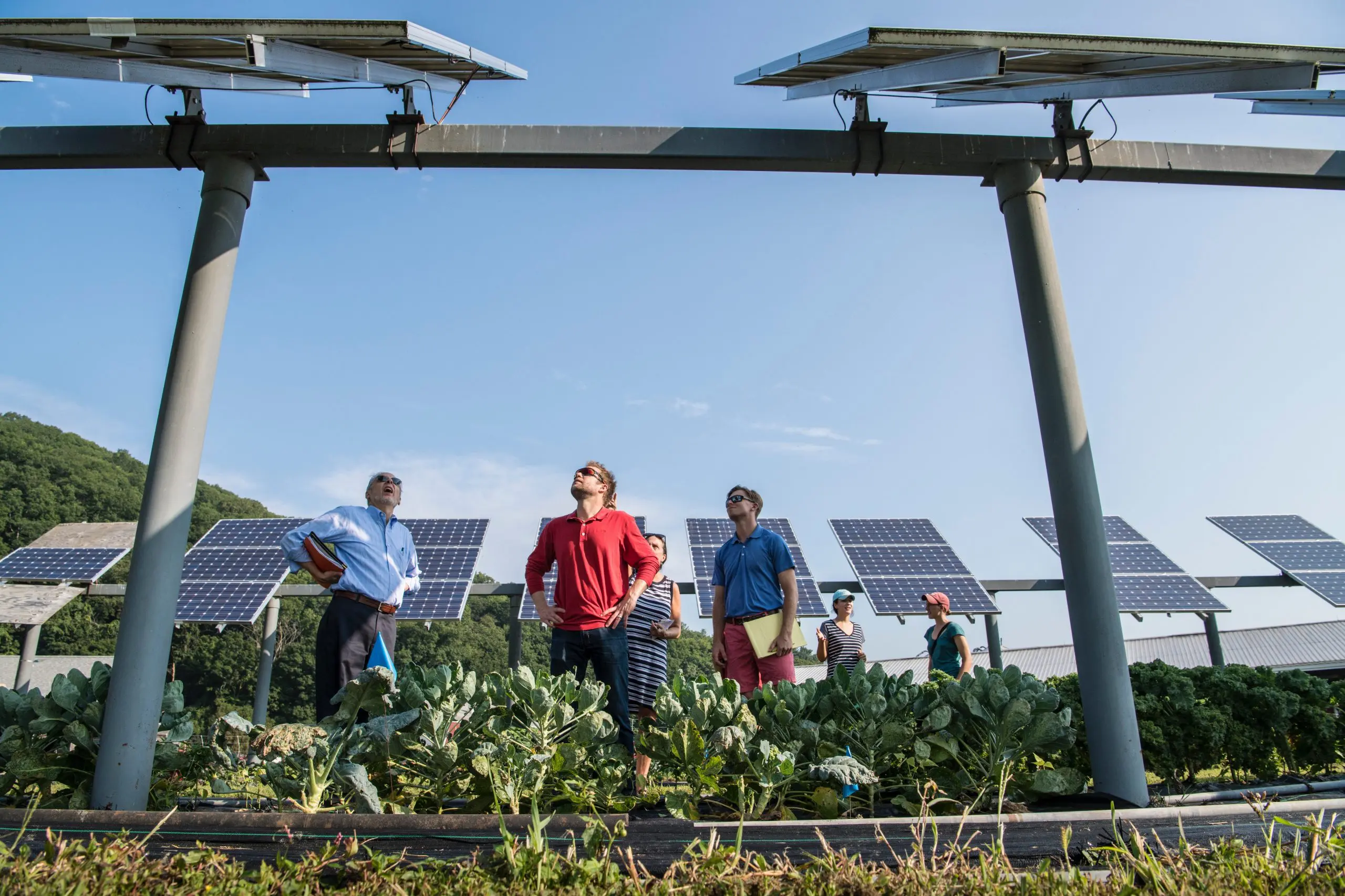 people surrounded by solar panels