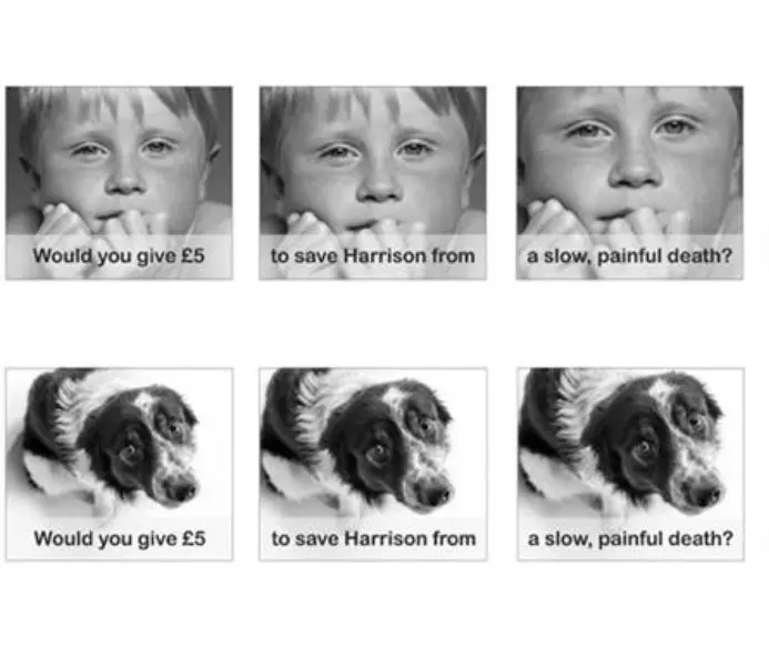 two versions of advert, one with dog, one with child
