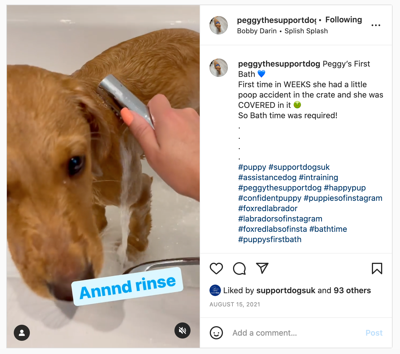 an Instagram video of Peggy in the bath
