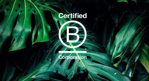 Green monstera leaves and the B Corp logo