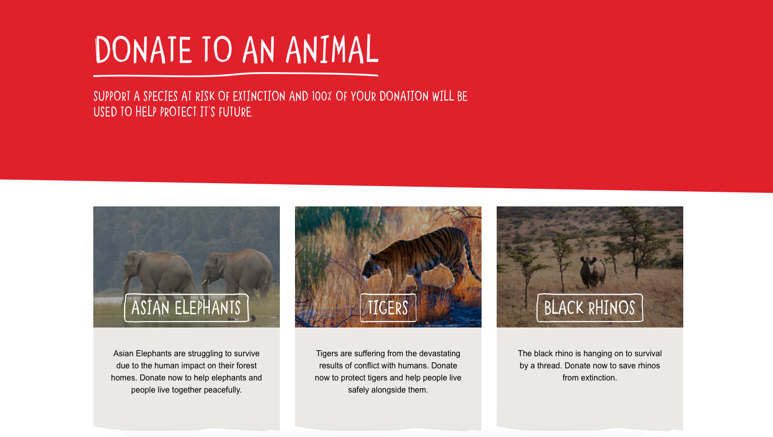 'donate to an animal' web page