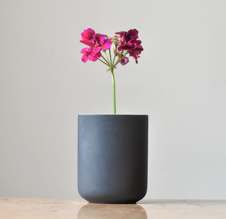 plant pot with flower
