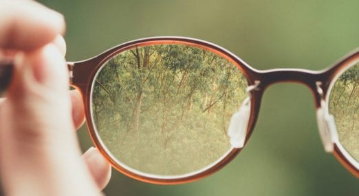 clear glasses showing trees