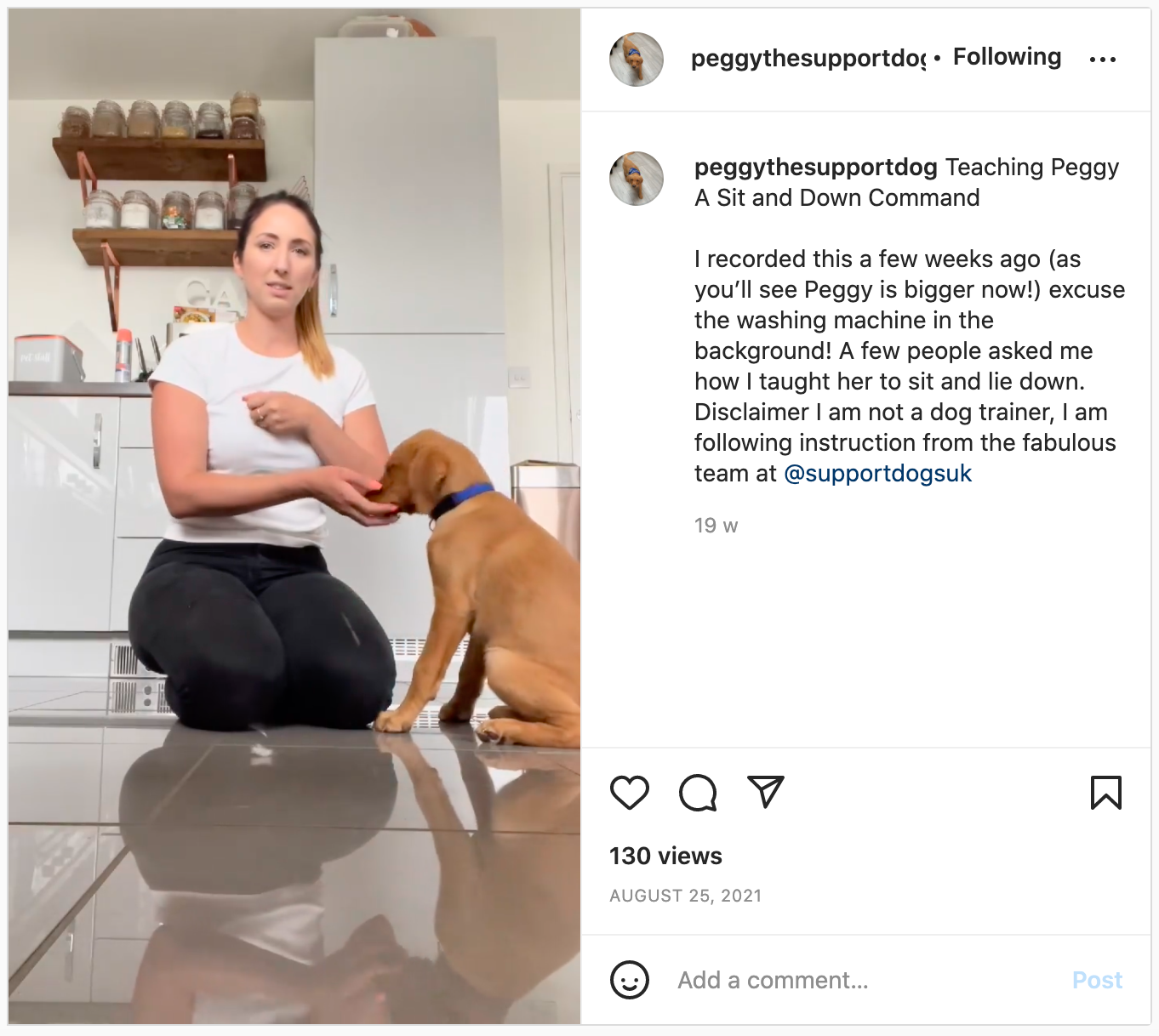 an Instagram video of Peggy getting taught how to sit